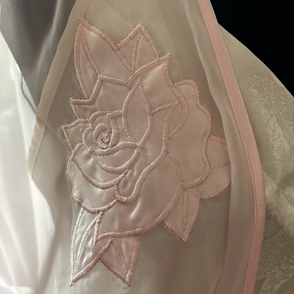 Vintage Soft Pink Sheer Robe - Picture 5 of 8